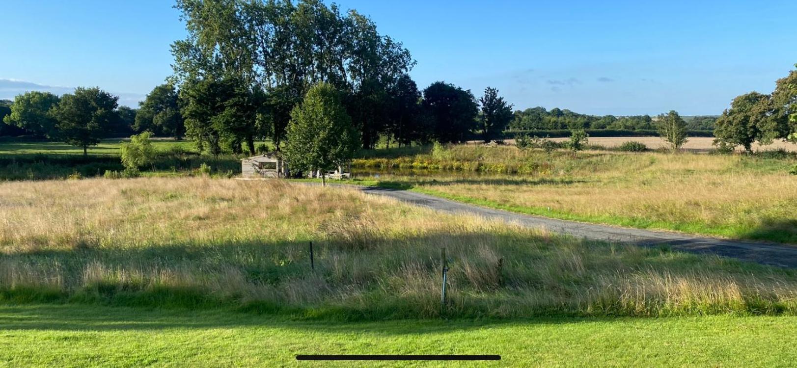 Beck Hill Cottage In Brandsby York Eksteriør bilde